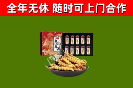 龙川烟酒回收冬虫夏草礼盒.jpg