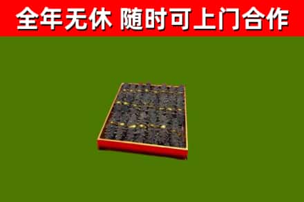 龙川回收海参